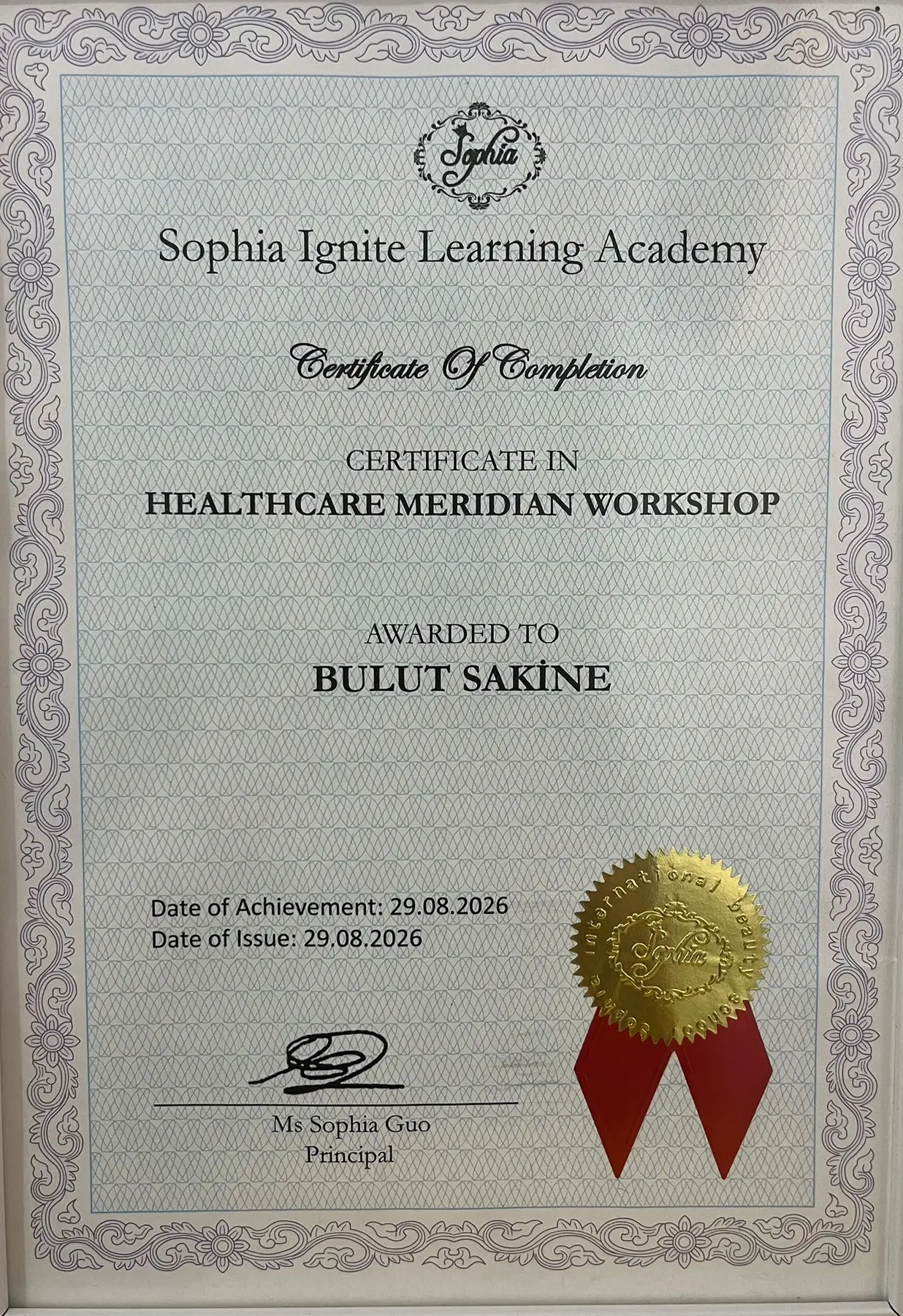 Healthcare Meridian Workshop sertifikası